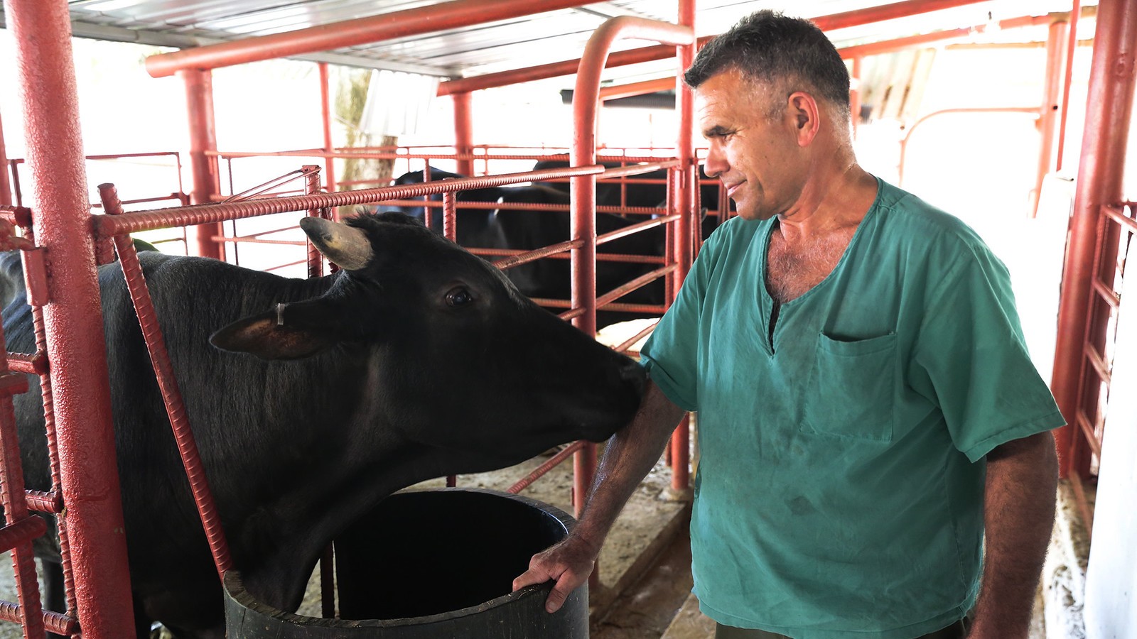 Tuottaja Emilio Interián on kansalliskokouksen edustaja ja Purísima Concepción -tilan omistaja. Tila sijaitsee Havannan laitamilla ja kuuluu Sabino Pupo Milián -maatalousosuuskuntaan, jonka puheenjohtaja Interián on.